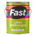 Latex antihongos mate BLANCO tineta - FAST