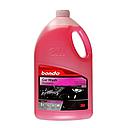[SHDE3903] Shampoo de auto D CARS 5LTS